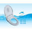 Bidet Bona Bidet Electric