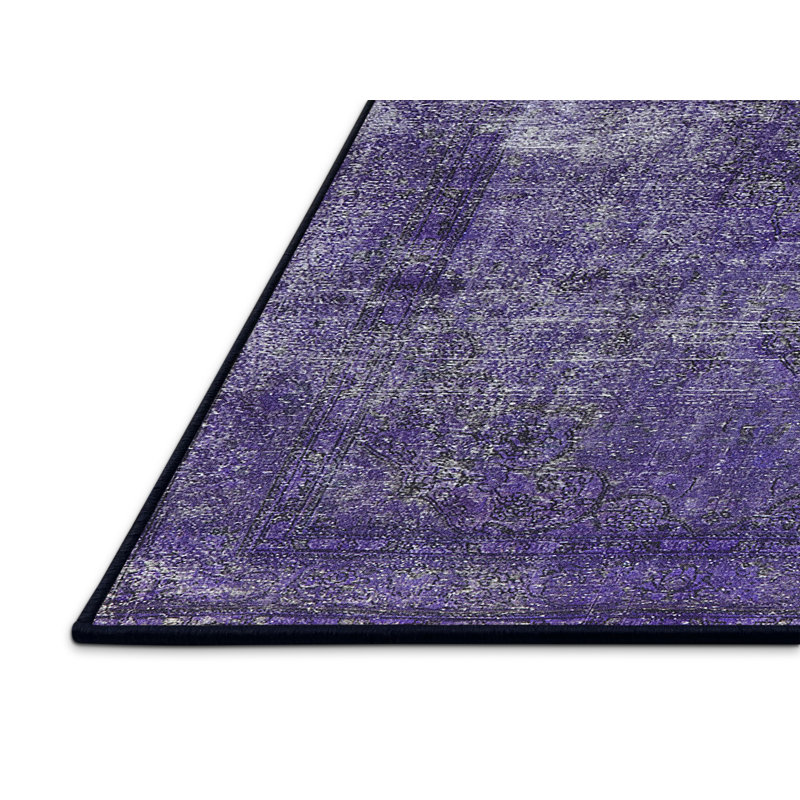 Oriental Indoor Rug, Rectangle 5' x 7'