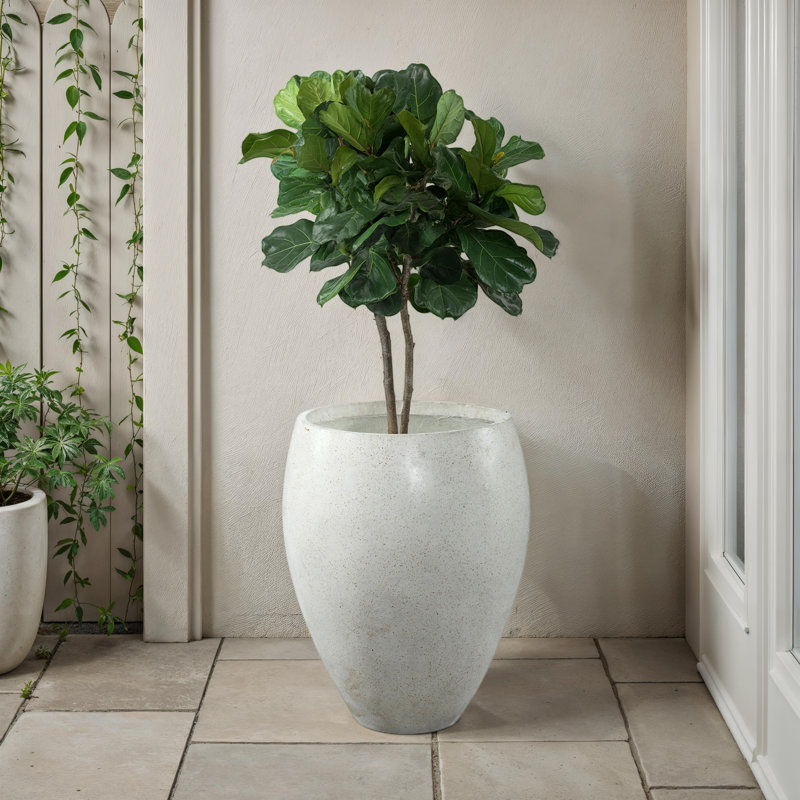 Olwen Concrete Pot Planter