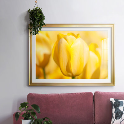 Sunshine Yellow II, reproduction encadrée sur papier