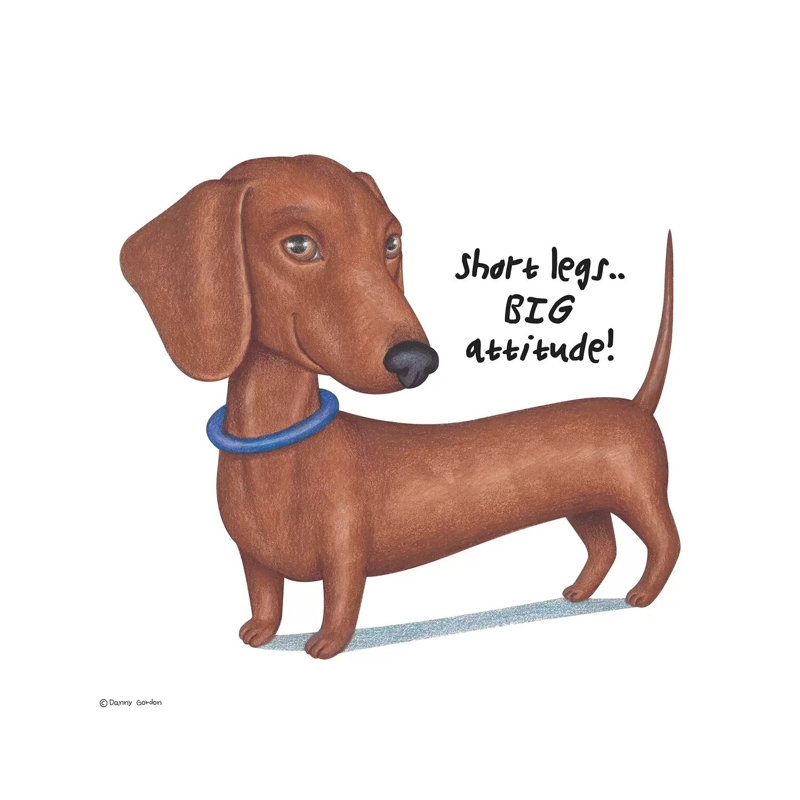 «Dachshund Big Attitude» par Danny Gordon, impression sur toile tendue, H 12 po x l 12 po x P 0,75 po
