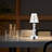 Faune Acrylic USB Desk Lamp