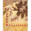 Velisha One-of-a-Kind 8' 10" x 12' 2" Hand Knotted Area Rug