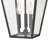 Lalla 3-Light Outdoor Hanging Lantern