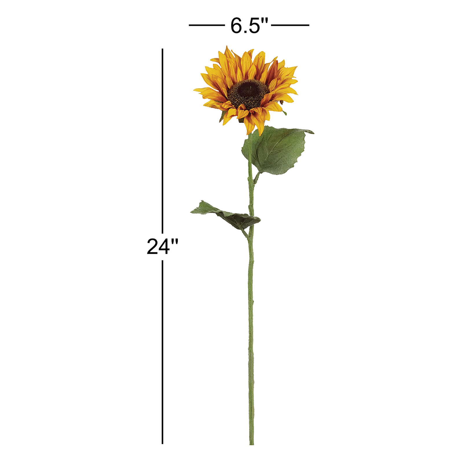 Sunflower Stems, 24" H x 6.5" W x 4" D