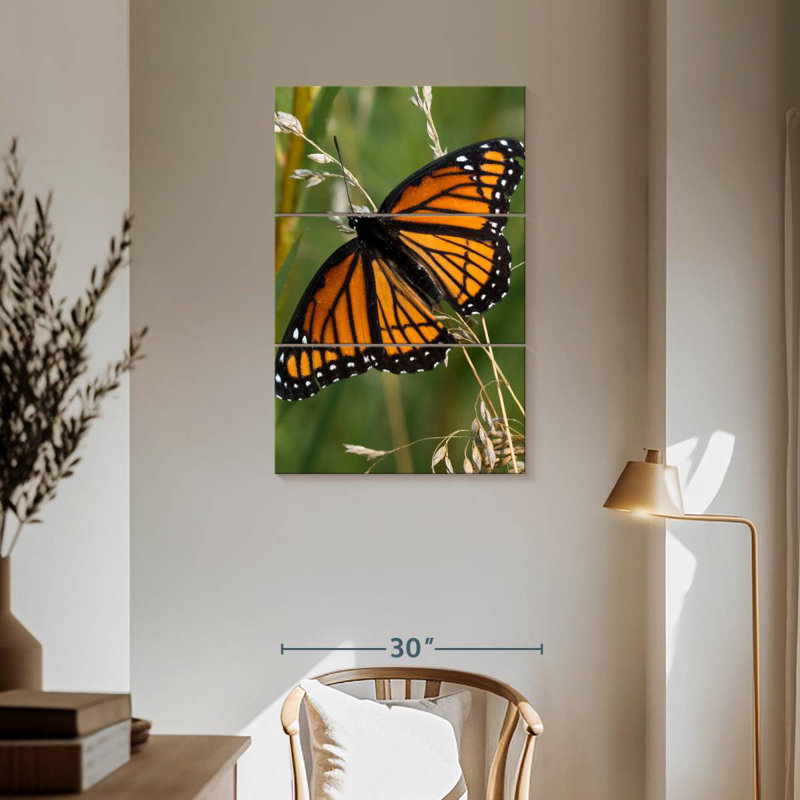 Papillon monarque Brampt de près, H 57 po x l 36 po
