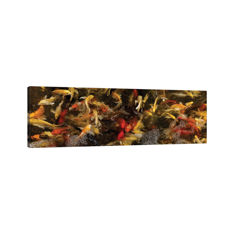 Colorful Koi Fish VI by Panoramic Images - Wrapped Canvas Panoramic Print, 30.48 cm H x 91.44 cm W x 1.91 cm D