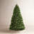 Dunhill Fir Fir Tree-2032998416