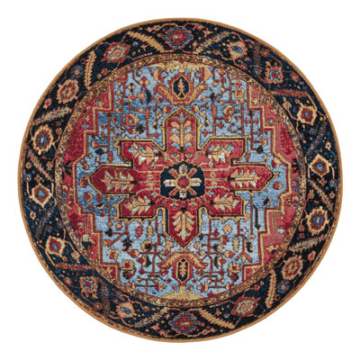 Indoor/Outdoor Traditional Area Rug