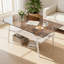 Table basse moderne en verre rectangulaire avec tablette en bois et structure en métal, table de salon moderne-156893610-156893611