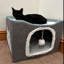 Lit pour chat Chabak