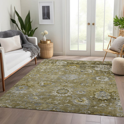 Machine Washable Indoor/Outdoor Chantille ACN1107 Brown Rug
