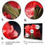 Carnations Field IV, reproduction d'art sur toile-1293211577-1293440629