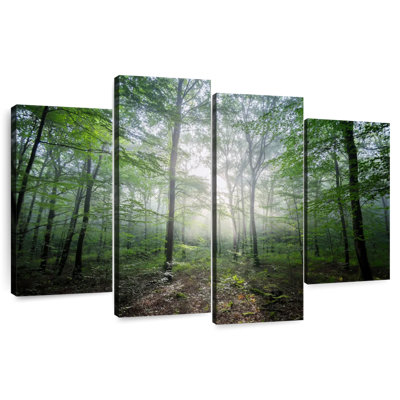 Lighting Forest II