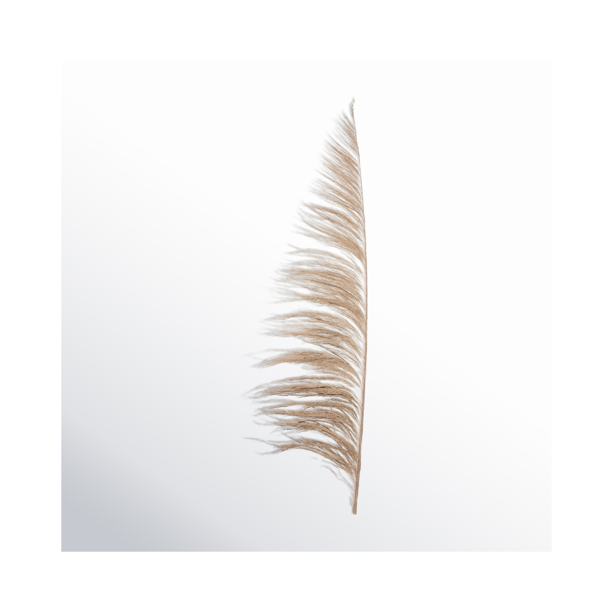 Lei 71'' Palm Plant, Natural