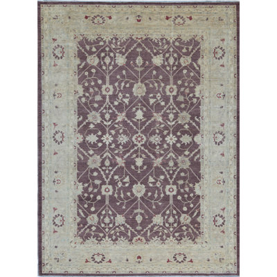 Ziegler Wool Oriental Area Rug in Plum/Light Green