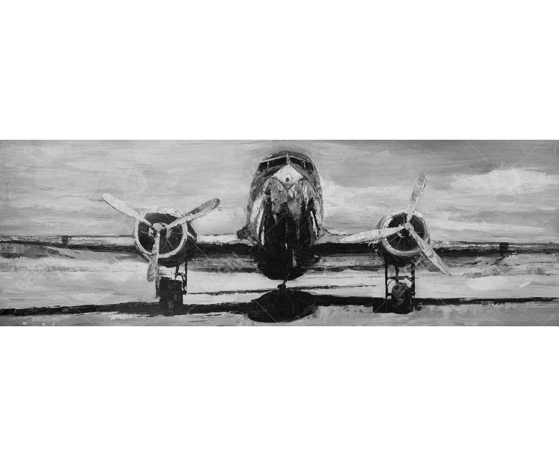 " Grayscale Plane "