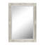 Madeleine Carved Classic Accent Mirror-149111782-140833763