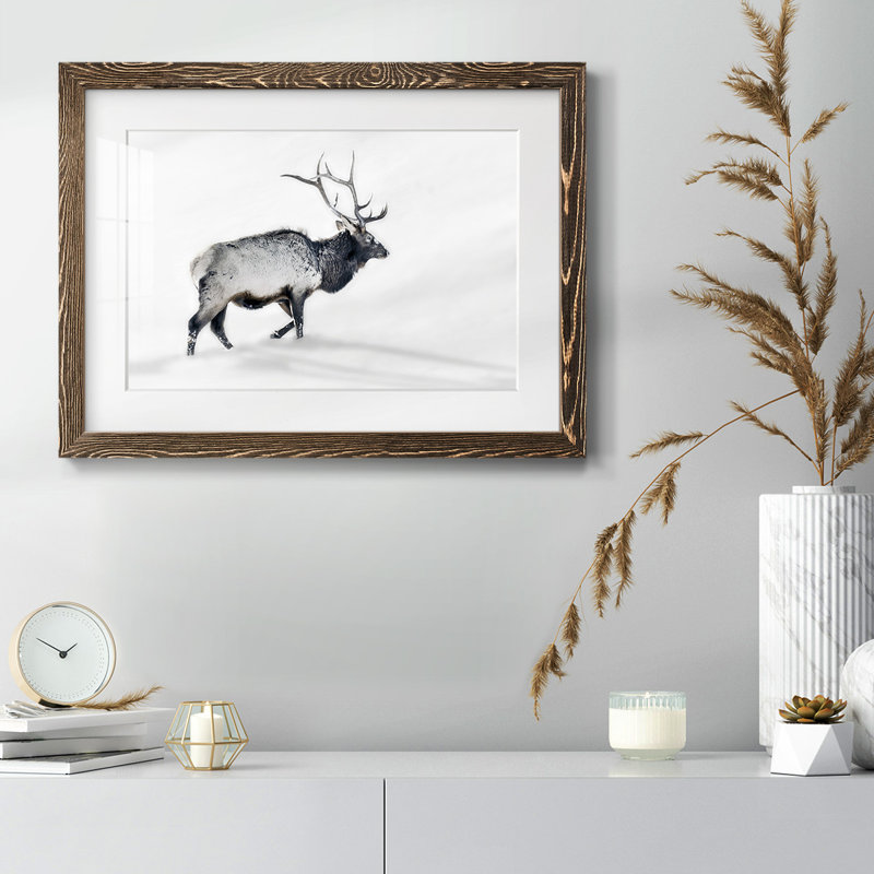 Lone Bull encadré sur papier, Noyer, H 14 po x l 20 po x P 1,5 po