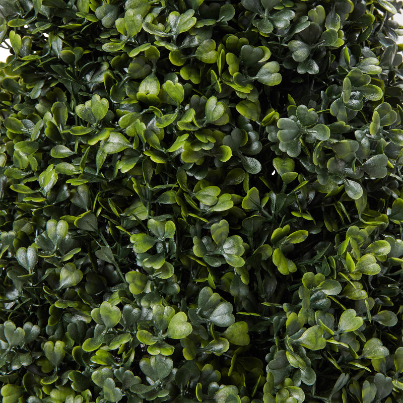 Topiaire de buis Pure Garden