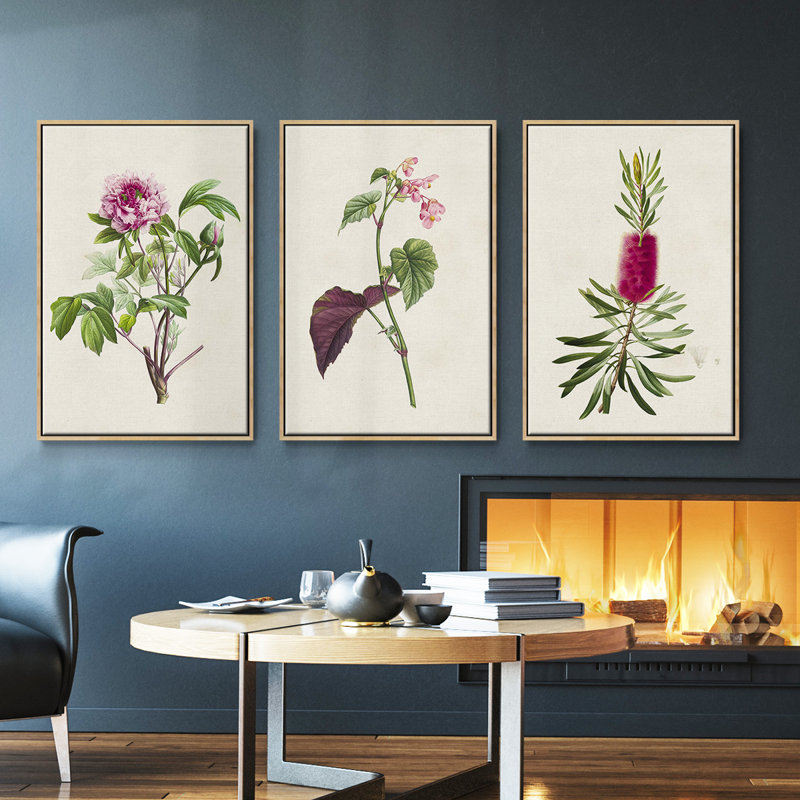 Jolies roses botaniques, ensemble de 3 pièces encadrées sur toile V, Naturel, H 27 po x l 54 po