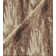 Fossil Fabric