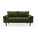 Olive Green Velvet