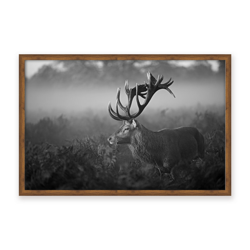 Nature Inspired Sunny Morning by  - Picture Frame Photograph on Paper, 24" H x 36" W x 1.125" D, Framed Print, Black