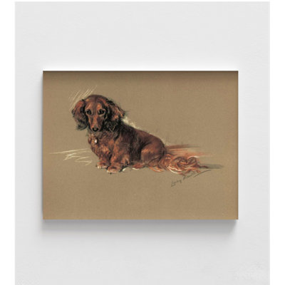 Reproduction d'art, petit teckel brun, chiot teckel