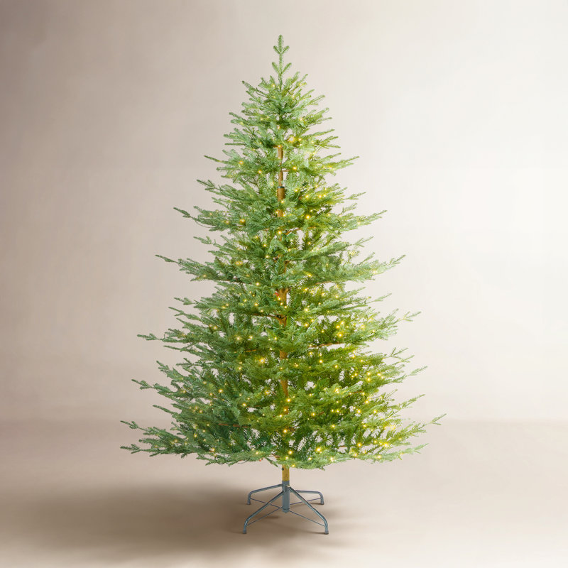 Sapin de Noël cachemire caché Cashmere, 9 pi, Illuminée