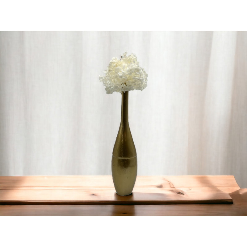 Hortensia Anna séchée, Blanc