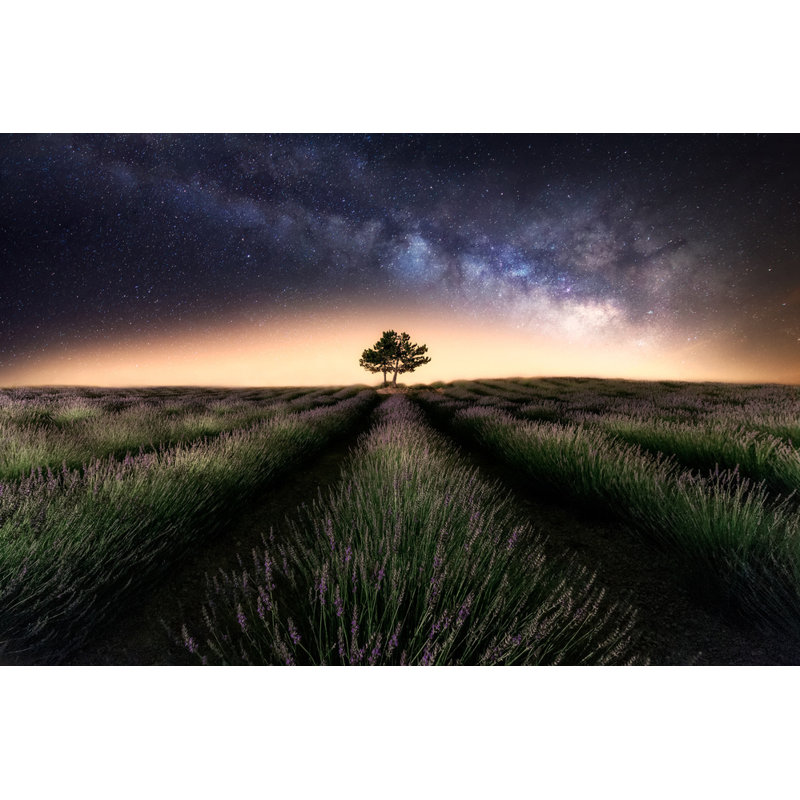 Wrapped Canvas Print, 50.8 cm H x 76.2 cm W