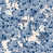 Blue/White selected