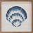 " Blue Scallop Shell 1 "-75032305