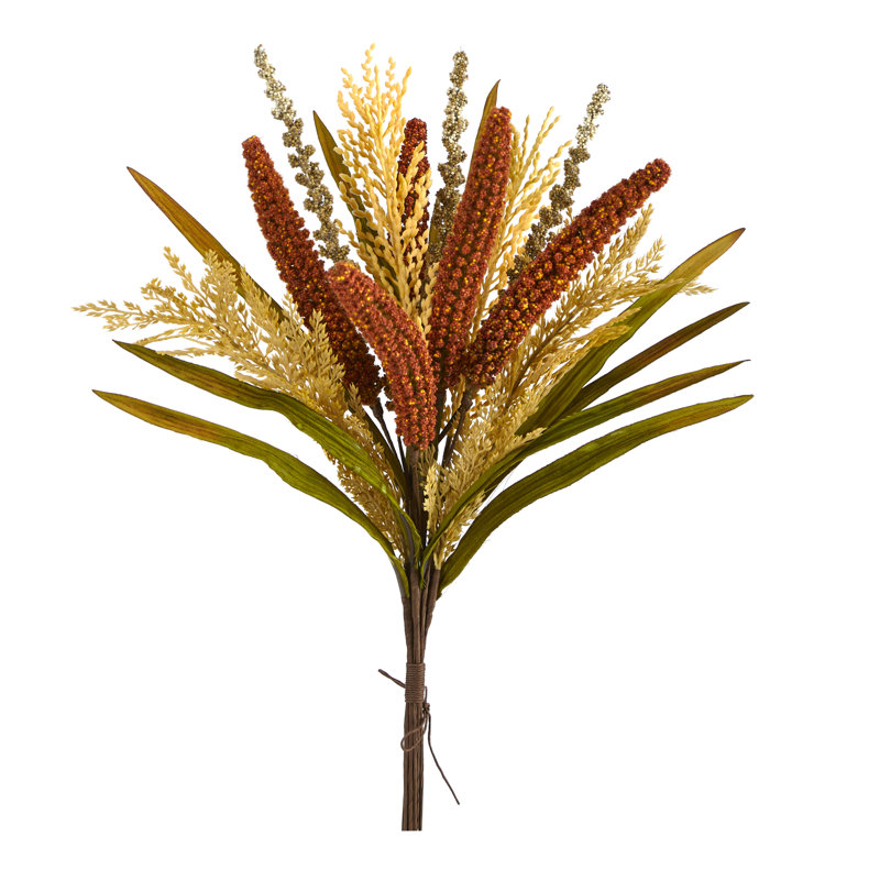 Sorghum Arrangement