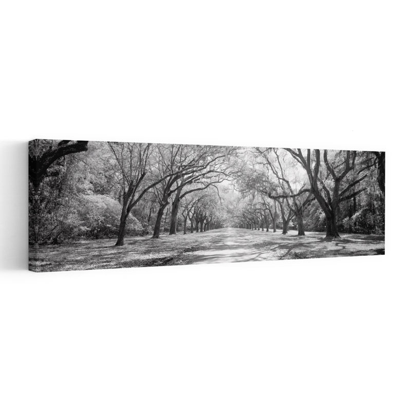 Live Oaks And Spanish Moss Wormsloe State Historic Site Savannah GA by Walter Bibikow - Wrapped Canvas Panoramic Print