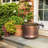 Embossed Metal Container Hose Pot