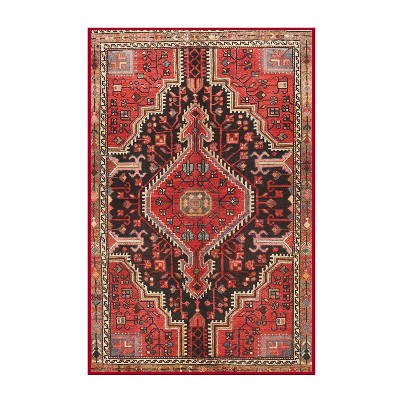 Oriental Indoor Rug, Rectangle 5' x 7'