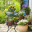 Keishana Glass Top End Table