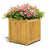 Golden Teak selected