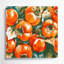 Fruit, persimmon, art mural sur toile vert-1252403265