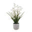 26" Artificial White Orchid in Vanda Pot