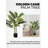 36 " H Faux Palm Tree in Plastic Pot