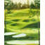 Grand terrain de golf - impression passe-partout encadrée Contemporary Loisirs-1379774766-1379774753