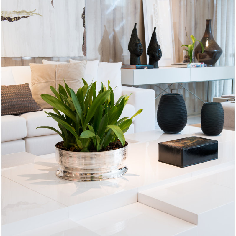 Vasos E Centros De Mesa Metal Planter, 16" H x 16" W x 6" D