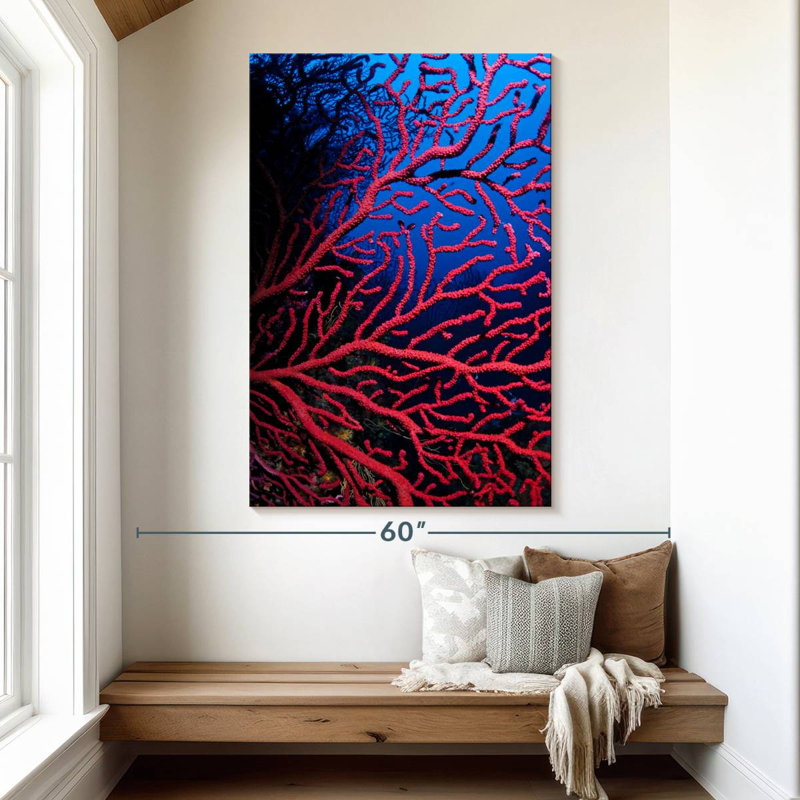 Brampt Violescent Sea Whip, 51" H x 34" W