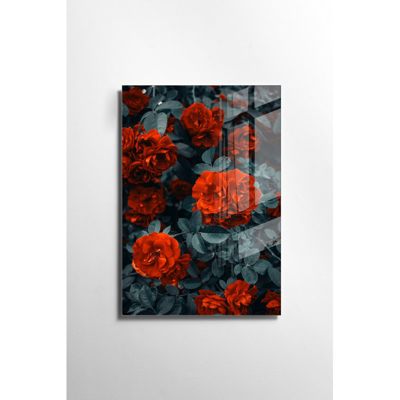 Verre 2, H 27,6 po x l 39,4 po x P 1 po