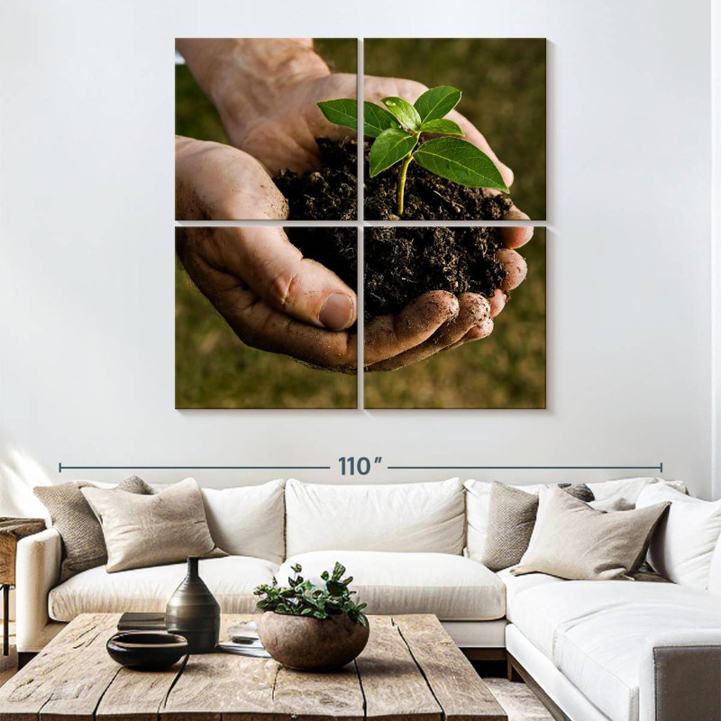 Senne New Seedling Sprouting, 74" H x 74" W