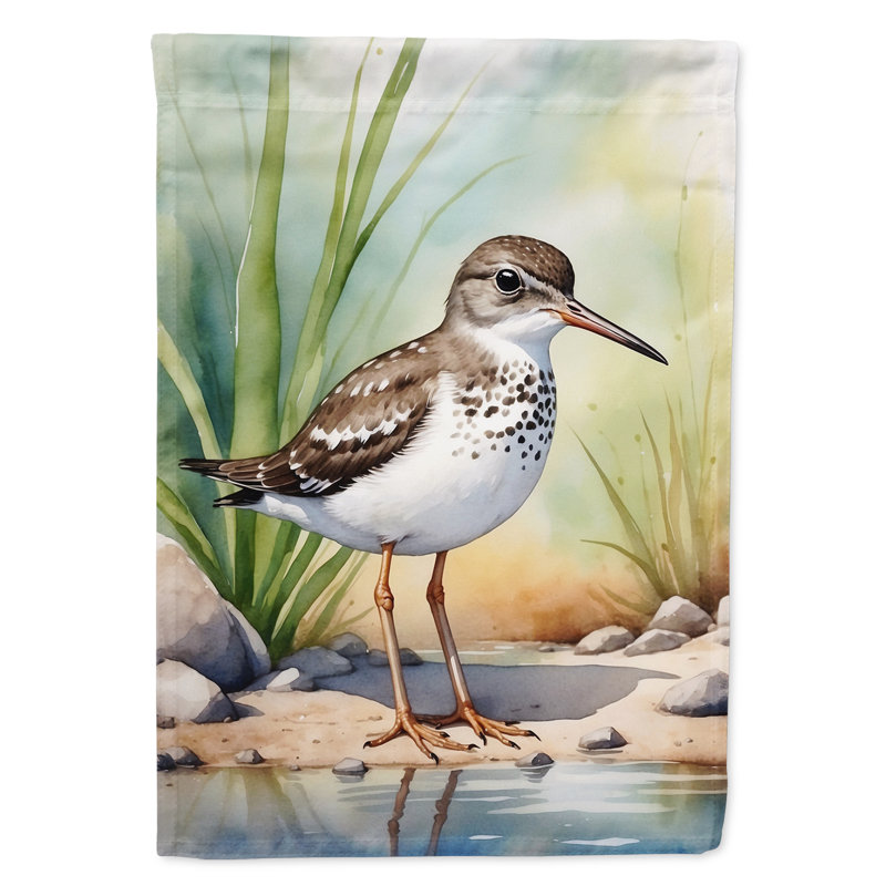 Drapeau de jardin Surfbird Bird, Bécasseau tacheté