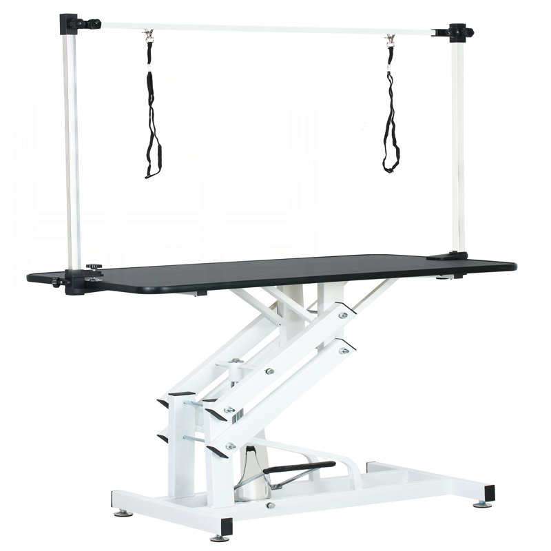 43 Inch Adjustable Heavy Duty Hydraulic Pet Grooming Table with Stable Z-Lift Base and Noose for Professional Use, Black